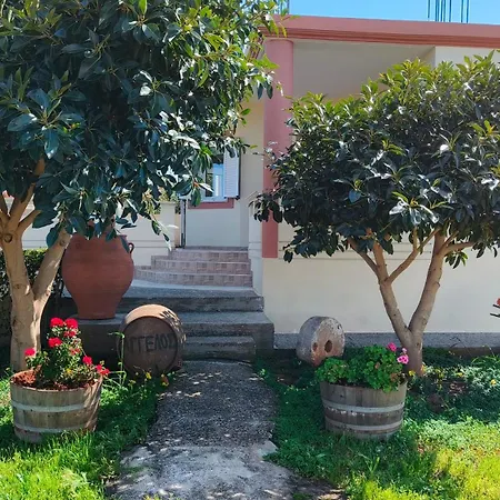 Pazinos/neveli