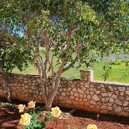 Holiday home Pazinos/neveli